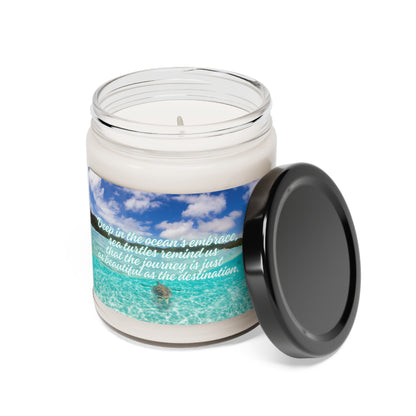 Sea Turtle Journey 9oz Soy Candle